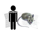 research image