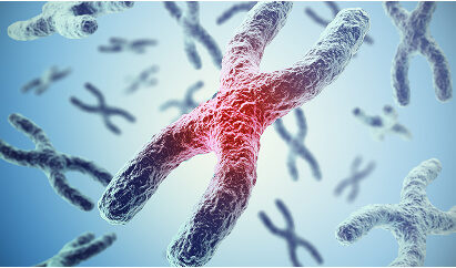 Why is my mRNA in the nucleus? Image